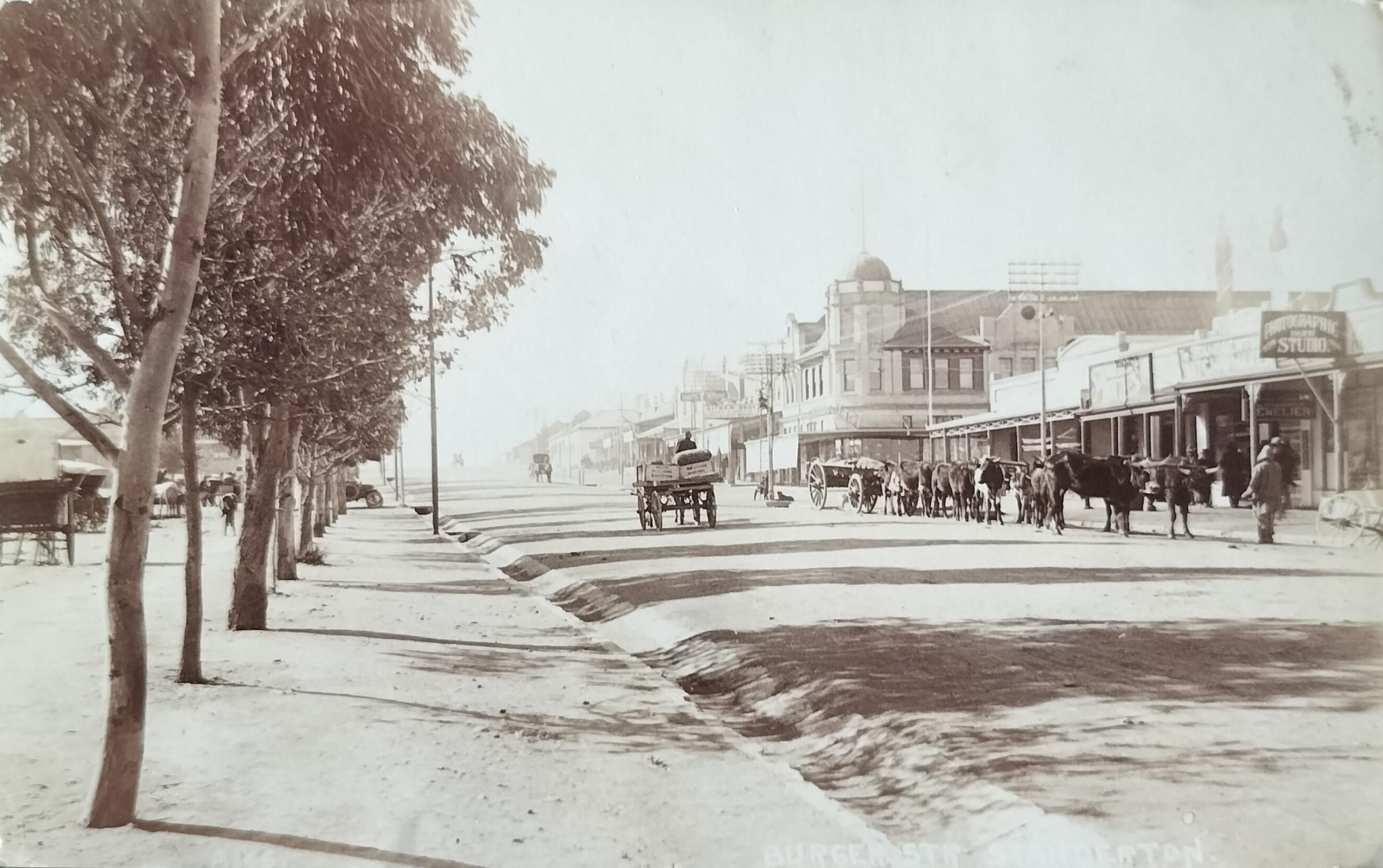 Early Standerton through the eyes of a deltiologist The Heritage Portal